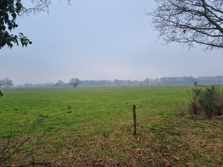 Beuningen - nabij Matenweg en Holsterheurneweg